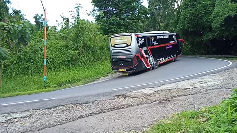 Bus pariwisata