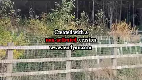 Abdn History 2021-2022 Brimmond Hill Jan 2022