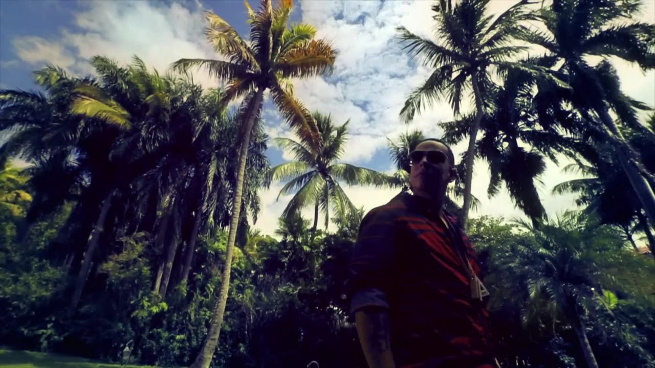 Daddy Yankee ft. J Alvarez - El Amante (Official Video)