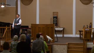 Boldness to Enter In Part Five