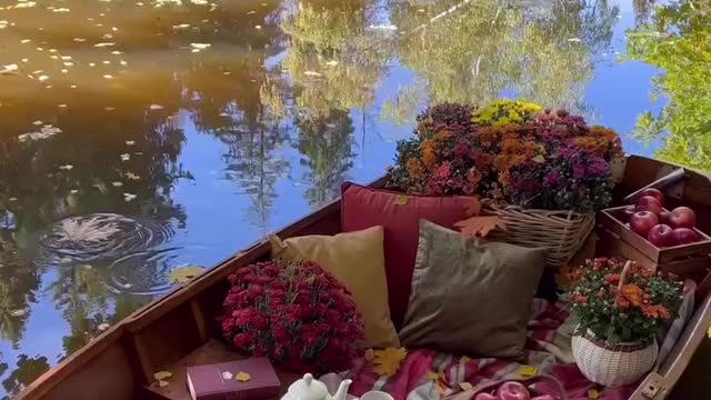 Have ever ridden on boat