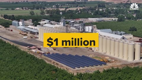 ***Why Rice Markets Are In Crisis Mode***