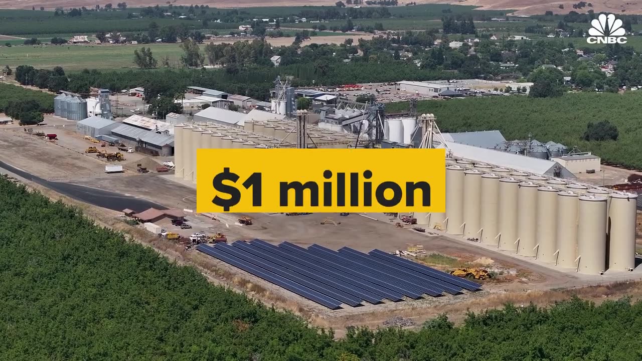 ***Why Rice Markets Are In Crisis Mode***