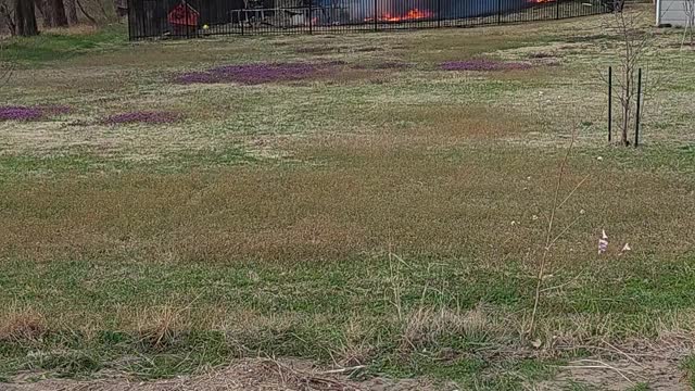 Don't burn a couch during high winds