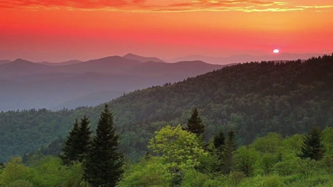 Made Up My Mind (remix)