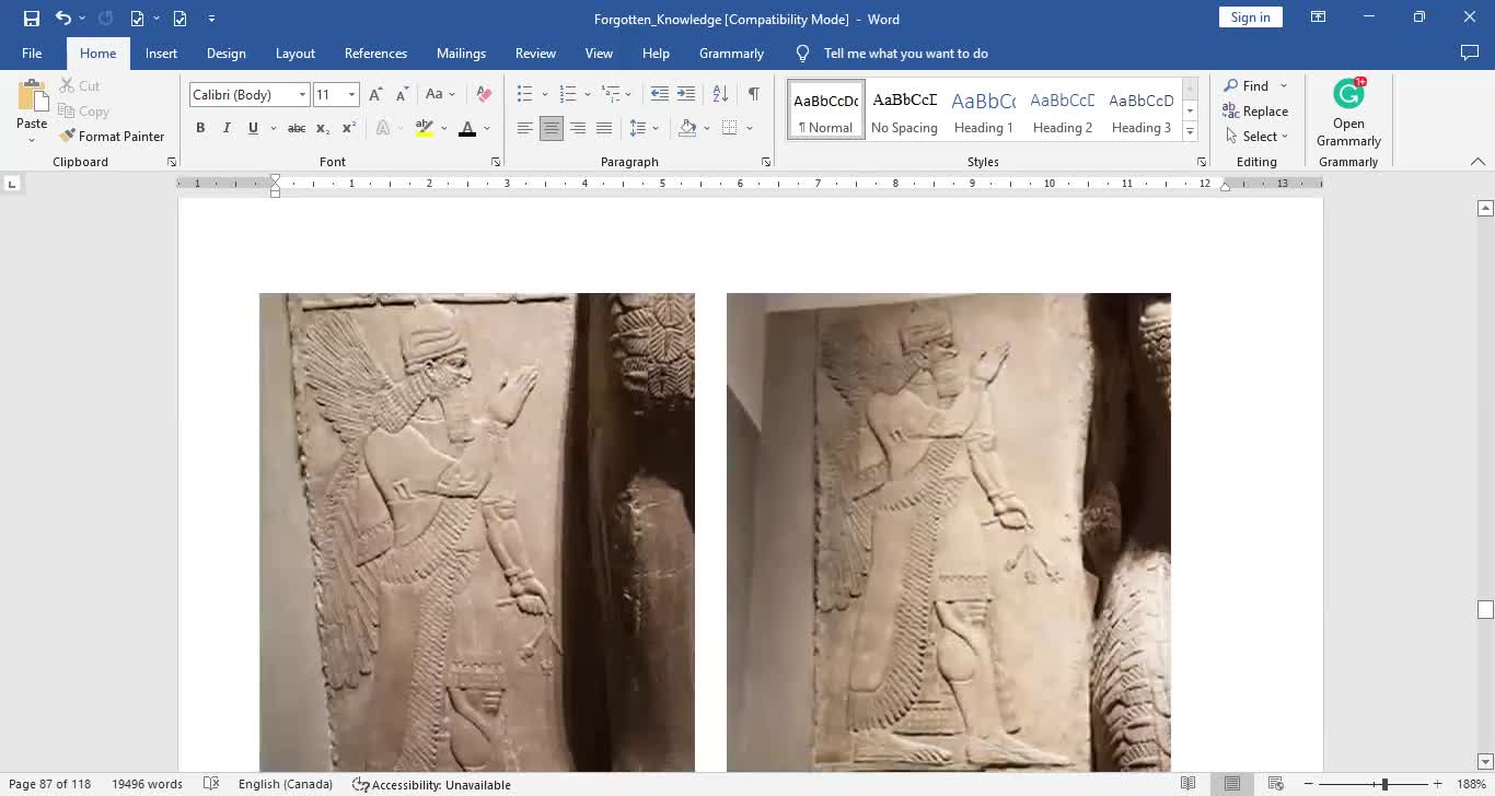 Genetic Manipulation Pictures and Documents at the Metropolitan Museum of Art