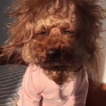 What I look like every morning 🤣🤣🤣