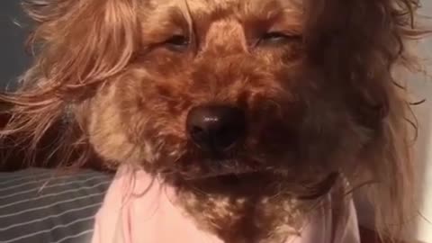 What I look like every morning 🤣🤣🤣