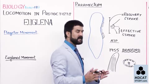 LEC#18 LOCOMOTION IN PROTOCTISTA