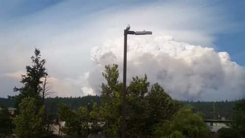 Pyrocumulus 2017 Looking North Williams Lake