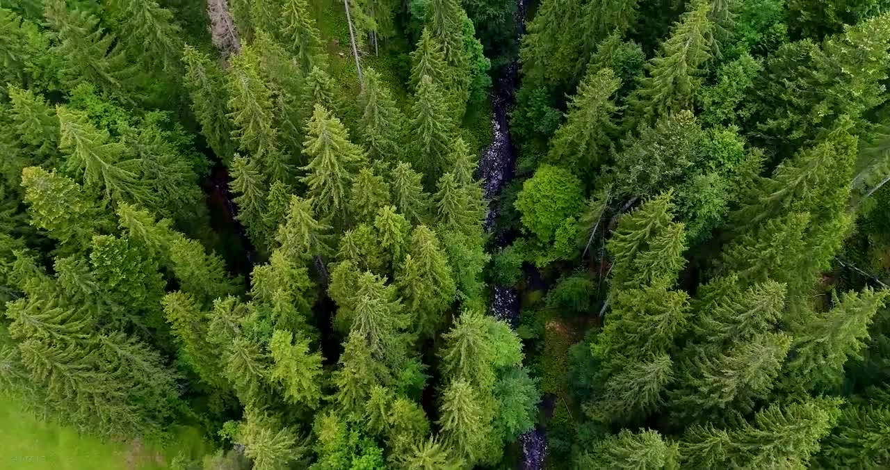 BAVARIA, GERMANY Beautiful drone flight over the Bavarian countryside (Alps, Neuschwanstein, etc.)
