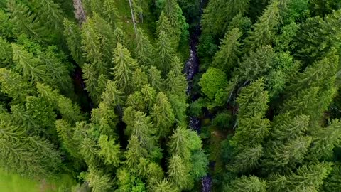 BAVARIA, GERMANY Beautiful drone flight over the Bavarian countryside (Alps, Neuschwanstein, etc.)