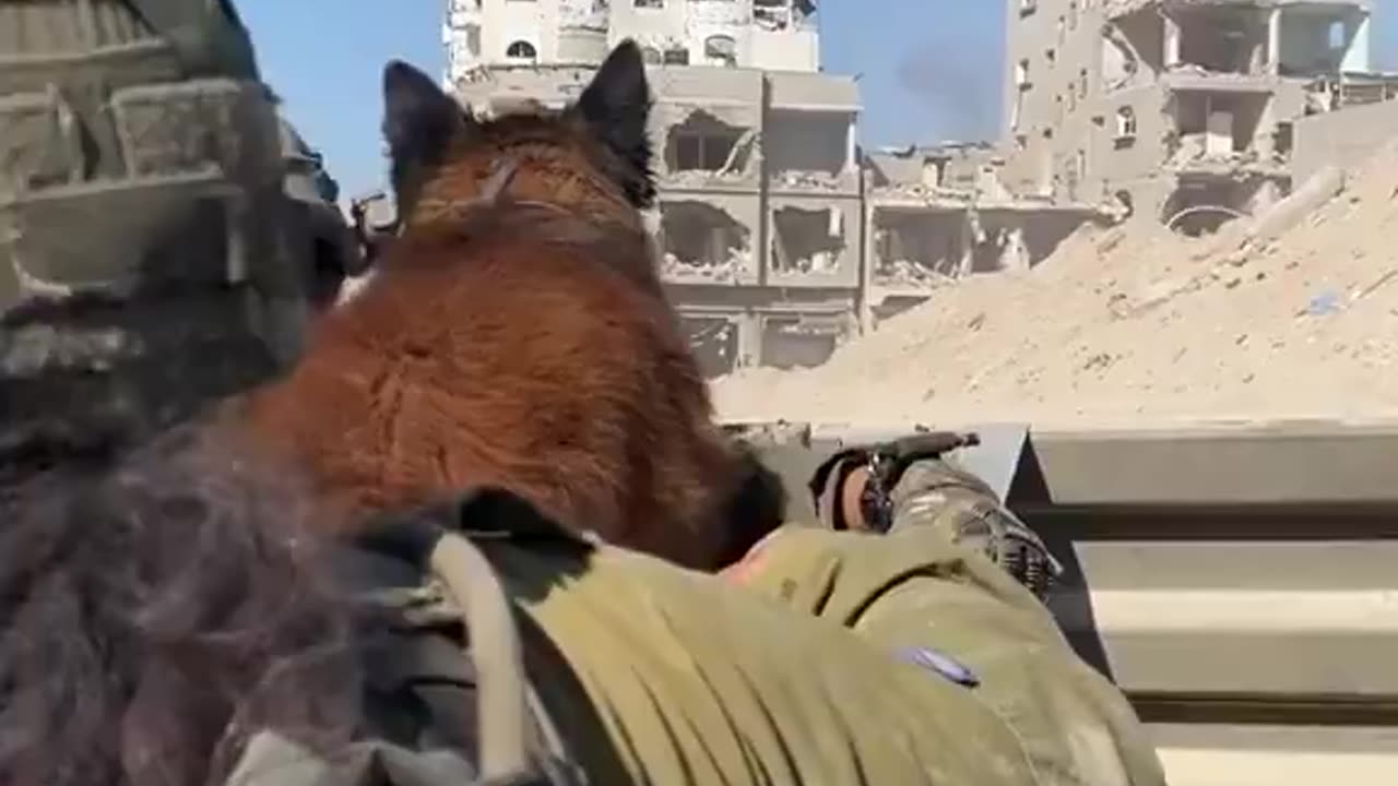 A female IDF soldier from the Oketz Unit with her dog inside the hell-hole called