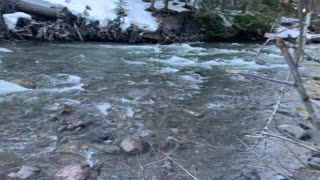 Crossing the Bridge – Tamanawas Falls – Mount Hood – Oregon – 4K