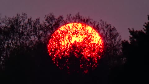 Wildfire Sunset