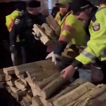 Ottawa Police seen STEALING firewood?