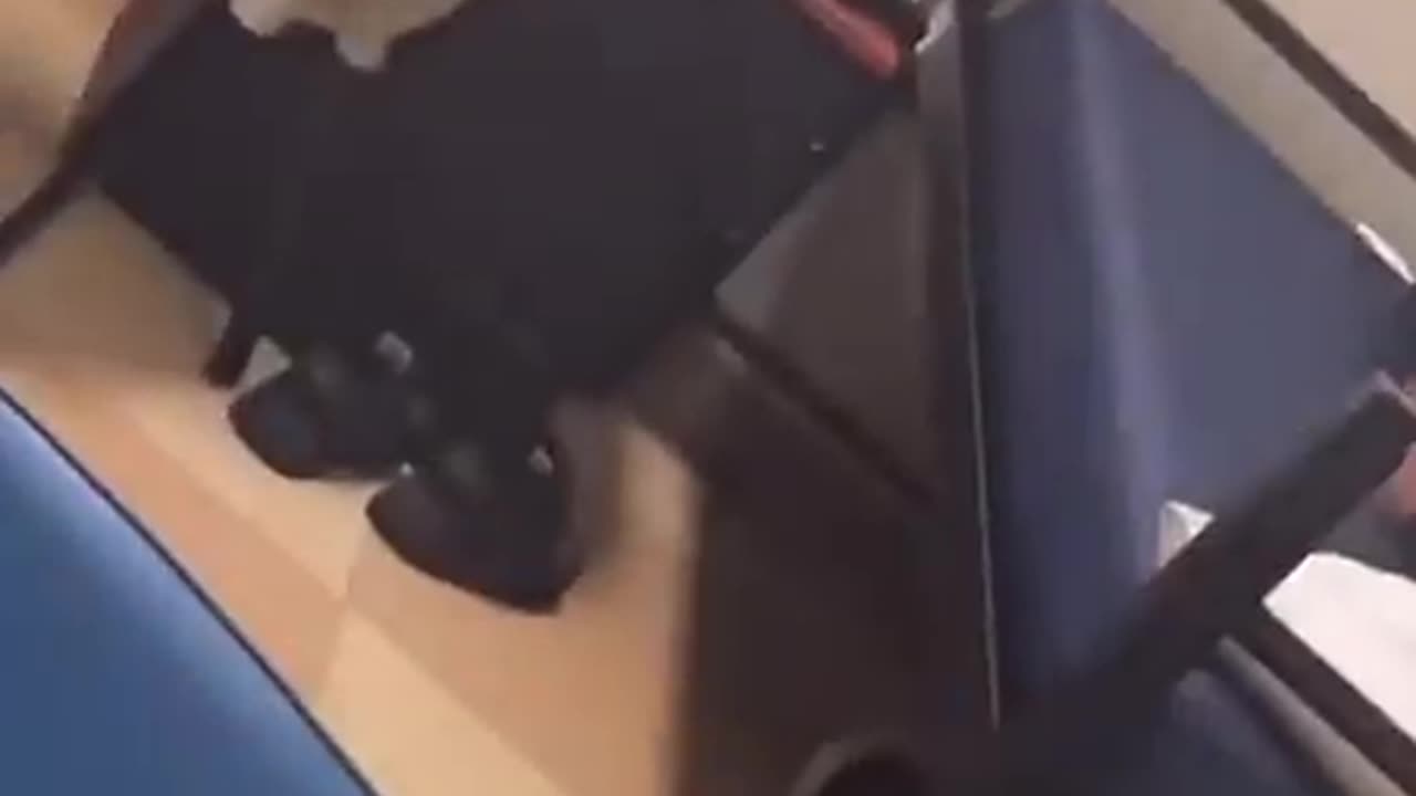 The Most Confused Man In the WORLD right now!!!!😬🤣😆🤷🏼‍♀️