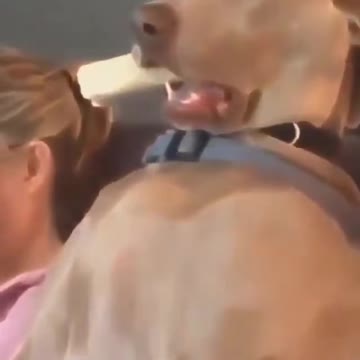 When the Biden Ministration says they’re going to do something!