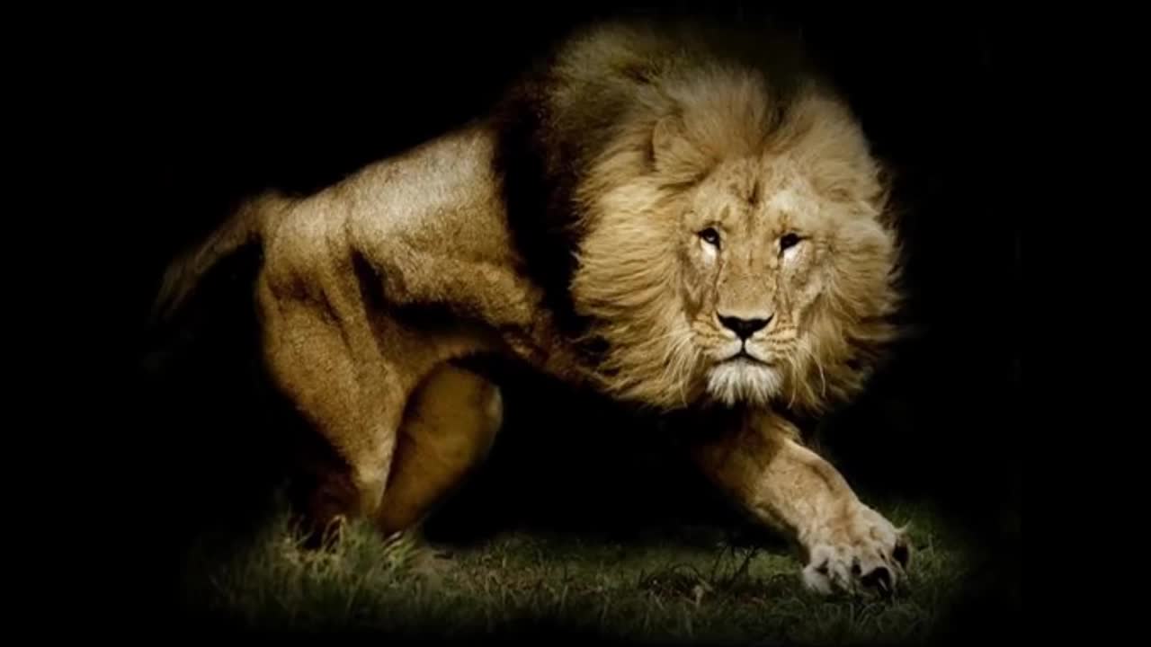 Christopher Walken The Lion speech