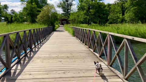 Bron till Notholmen vid Tyresö slott☺️🐕💕