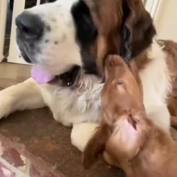 you gotta fight back the powers that be lickin