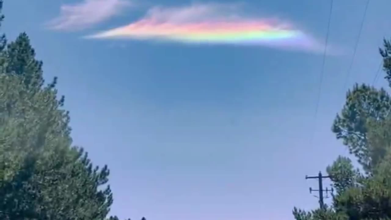 What's in the Chemtrails