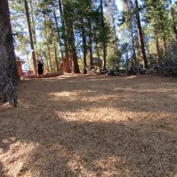 Oh What Fun! Ziplining at Evergreen Lodge Yosemite