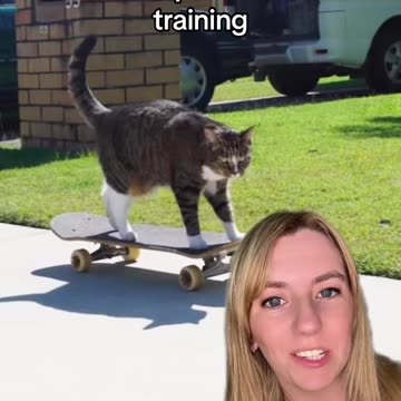 Didga the skateboarding cat is multitalented and holds a world