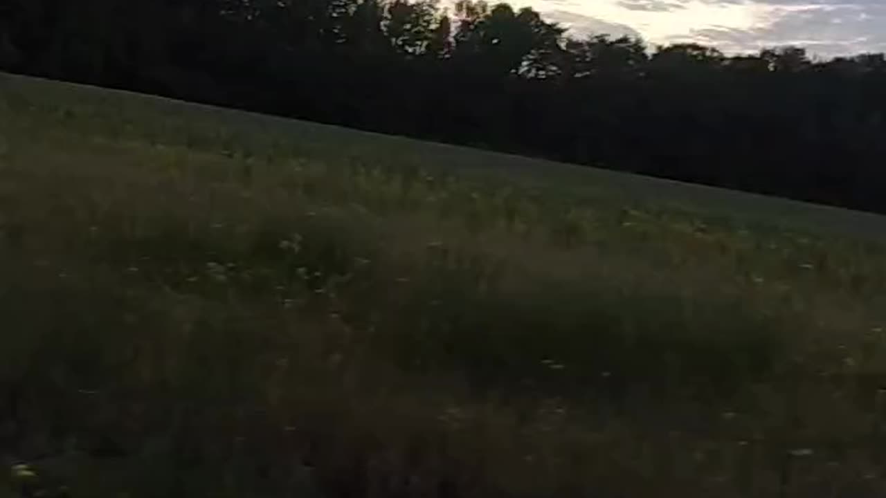 Beautiful Field View 🏞️