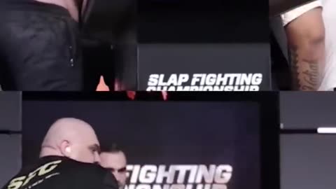 Greatest Slapfight EVER!