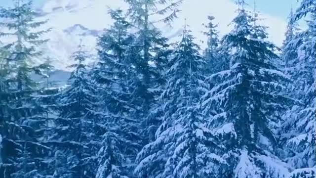 beautiful place