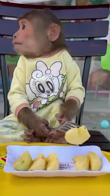Cute baby eats apples