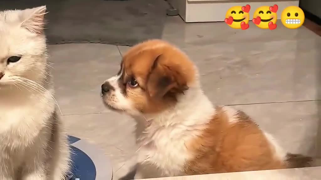 he's trying to play with herπππ