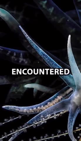 RUSSIAN SCIENTISTS IN ANTARCTICA HYPER INTELLIGENCE