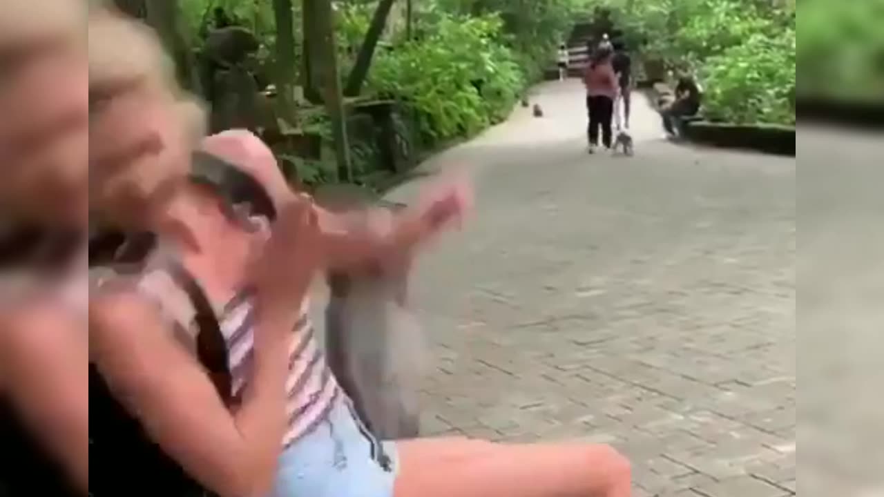 The result of animal abuse