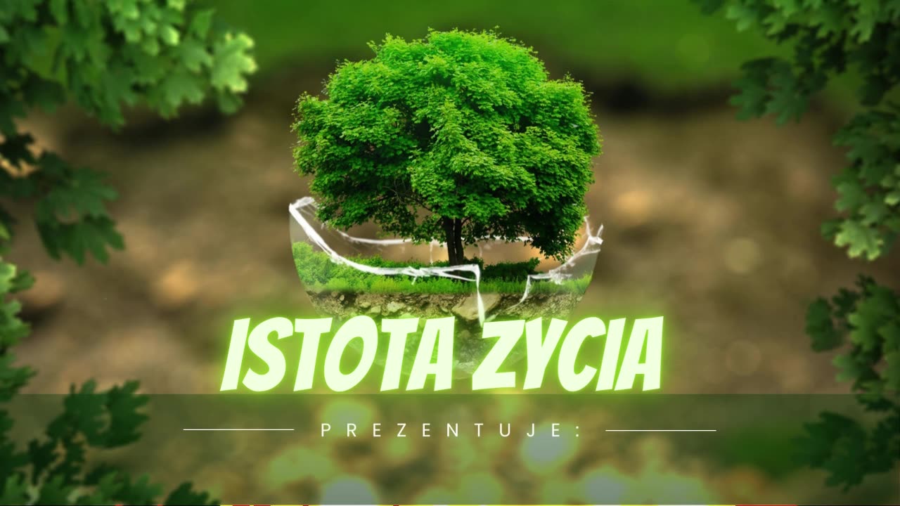 IstotaZycia - Wypadkowa 5 Istot