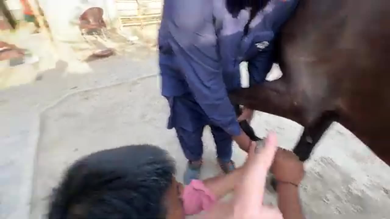 Horse ko new shoes pehna dia ab ye boht tezz bhagy gi 😍😍🤩🤩