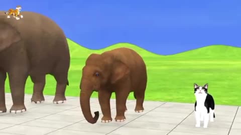 Wild animals