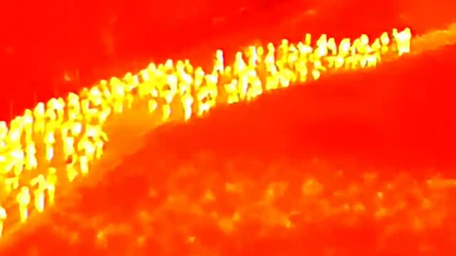 WATCH: Thermal Drone Video Shows Massive Group of Illegal Aliens Marching