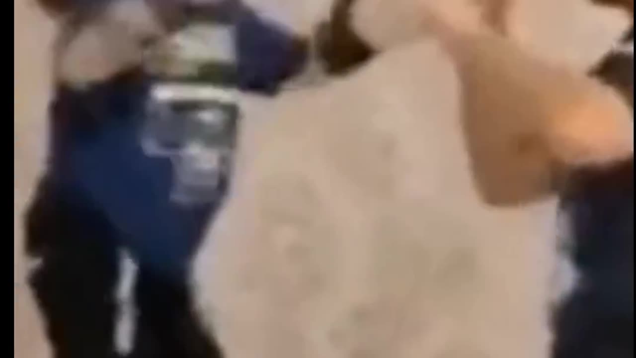 The student has surpassed the teacher 🤣🤣