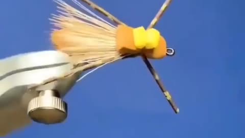 This is a beautiful and charming water-dwelling species