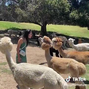 JUST A SHORT VIDEO COMPOSITE