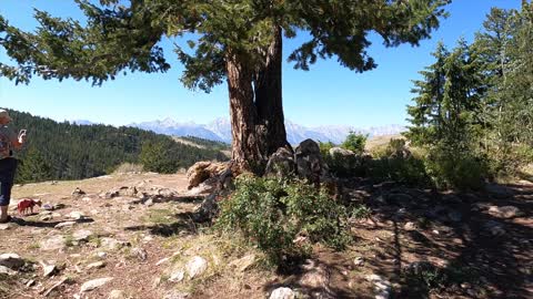 Day 21 Grand Tetons