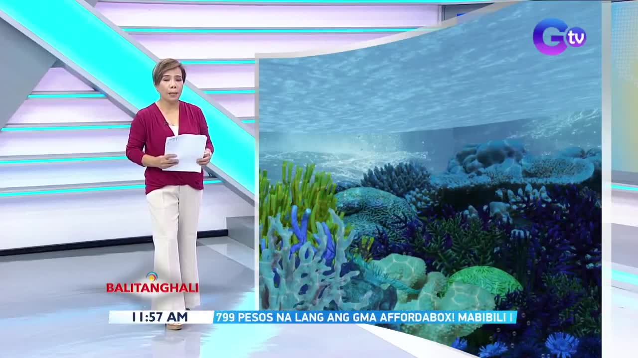 Tunog ng coral reefs, maaaring basehan kung ito ay malusog o hindi