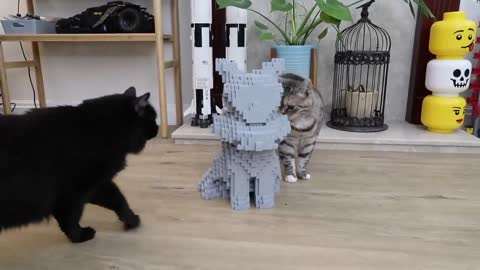 I Turned My Cat Into LEGO!