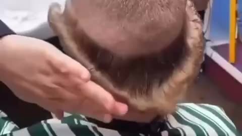 When you go to the low priced barber 😂