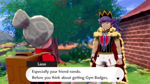 pokemon shield #1