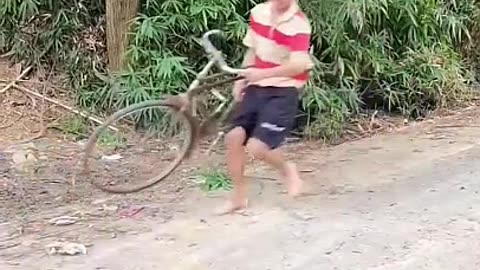 Best Viral Funny Video