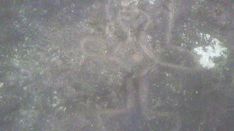 1st PETROGLYPH (cleaned up) SPACESHIP Pena Blanca Ecuador