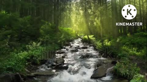 what a nature